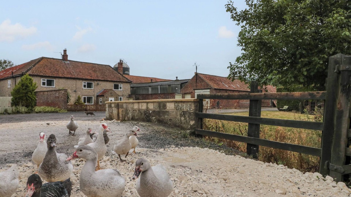 Malton Cottage | BELLMANEAR FARM COTTAGE, family friendly, with a garden in Malton