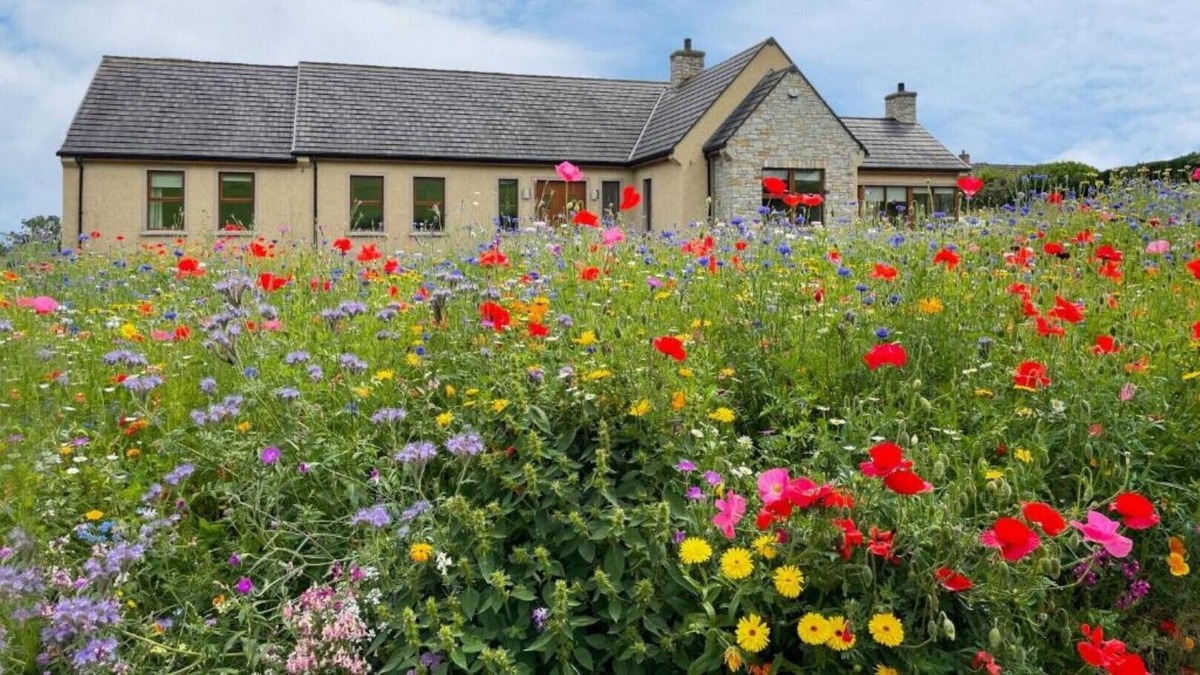 Dungannon House | Bells Holiday Homes The Homeplace
