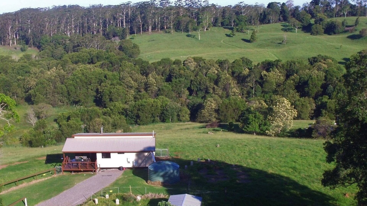 Bellthorpe House | Bellthorpe Stays - Whipbird Cabin: nature's favourite place, pooches allowed.