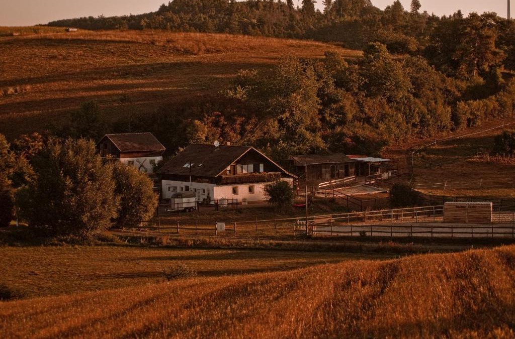Waldeck Apartment | Belroki Ranch