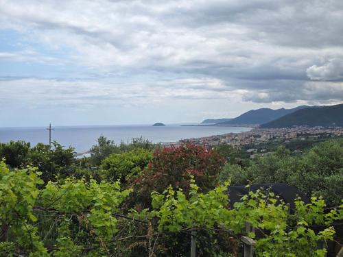 Pietra Ligure Apartment | Belvedere - By Ligooria