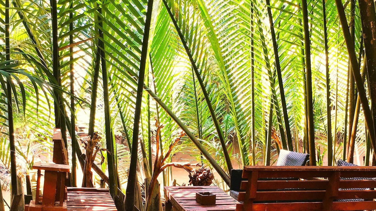 Ben Tre House | Ben Tre Farm Stay