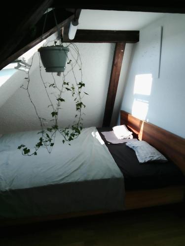 Binningen House | Bequemes, ruhiges Zimmer mit Doppelbett in der Nähe des Zentrums und des Bahnhofs