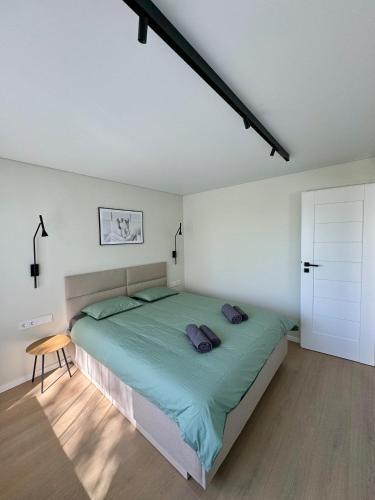 Anyksciai Apartment | Beržų apartamentai