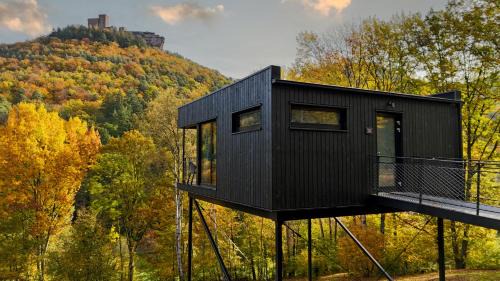 Annweiler am Trifels House | Bergchalet auf Stelzen