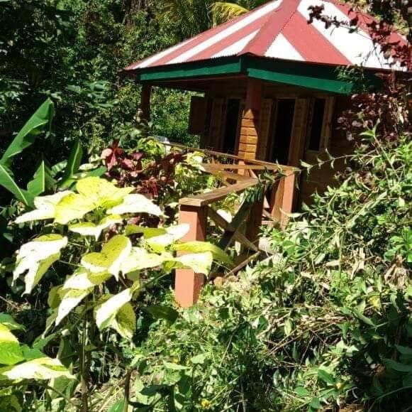 Fond Cani House | Berkey's Jungle Paradise