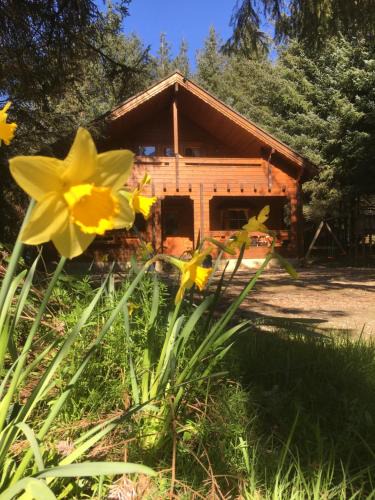 Ballyconnell Ski Chalet | Bernard’s Logcabins