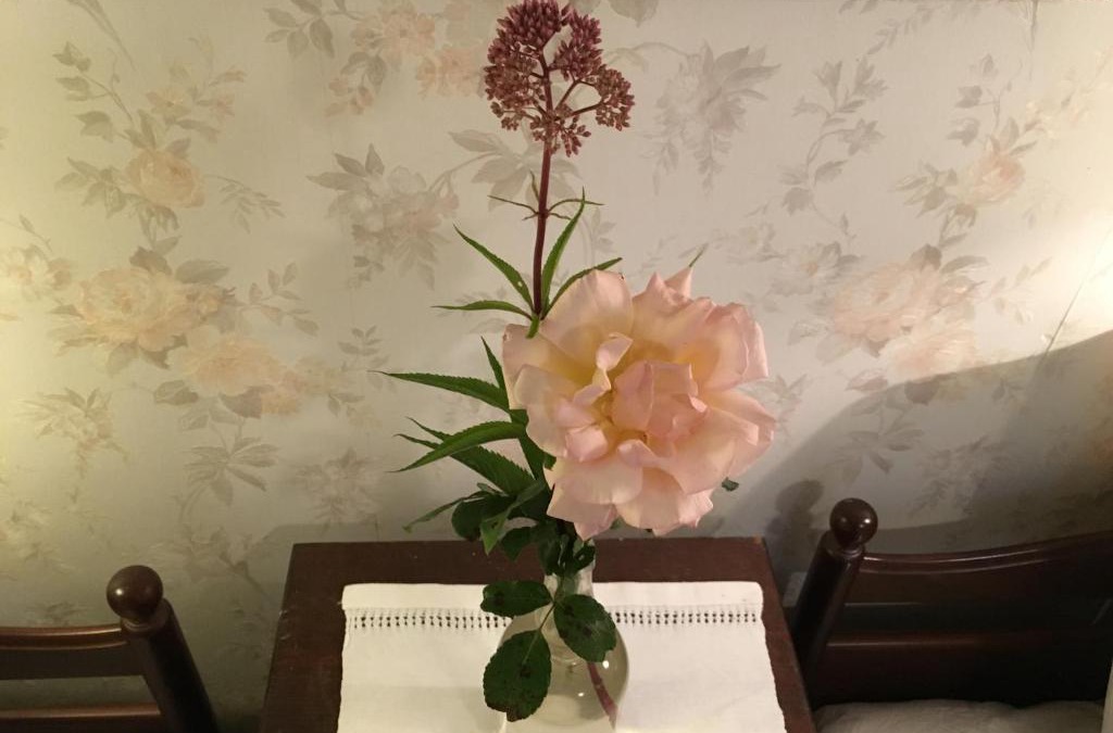 Sloinge Bed & Breakfast | Berte Bed&Breakfast
