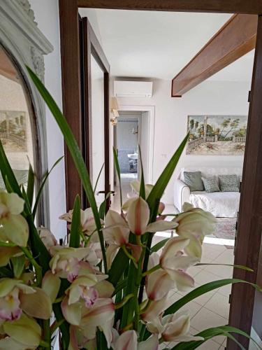 Cavallino-Treporti Apartment | Berto's house tra mare e laguna