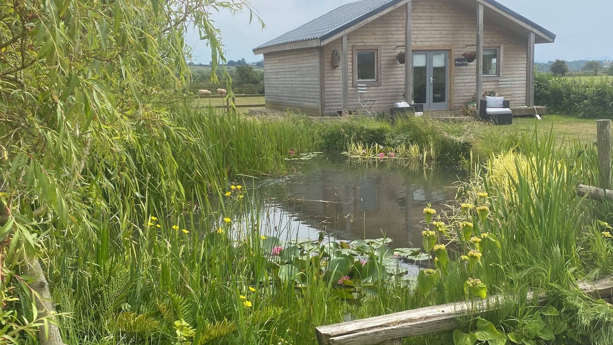 Malltraeth Cabin | Bespoke Log Cabin in idyllic surroundings