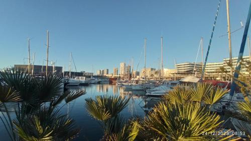 Sant Adria de Besos Boat Rental | Best Barcelona boat experience