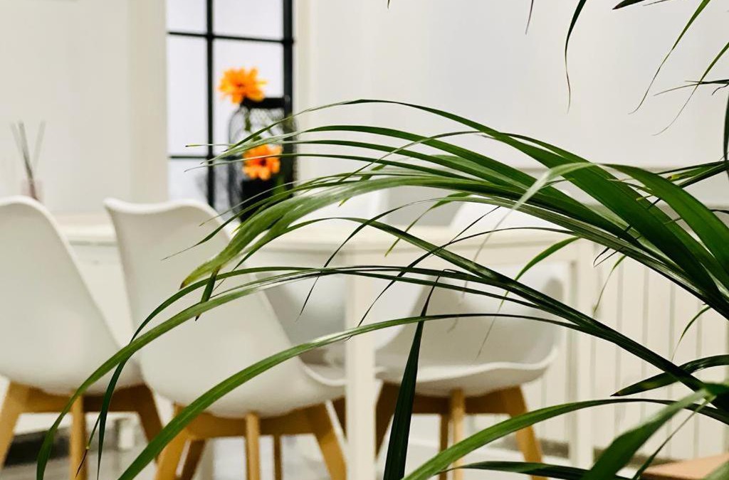 Nueva Espana Apartment | BEST FLAT NEAR REAL MADRID STADIUM