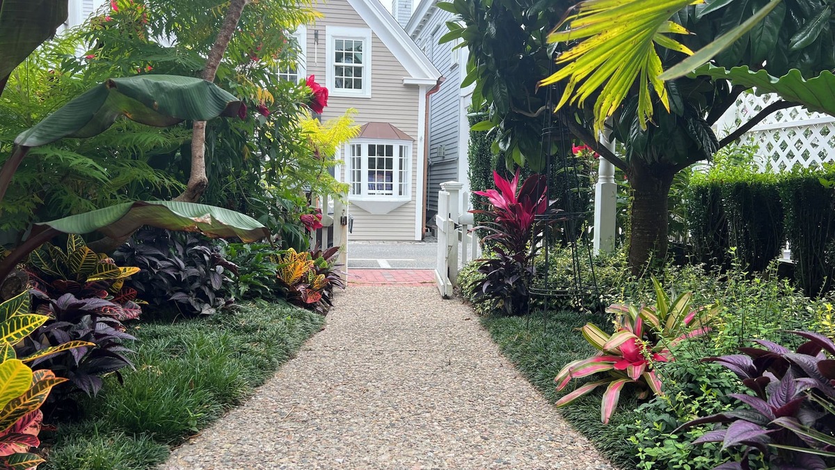 Provincetown Condo | Best Patio on Commercial-Tropical Garden-Prime Location