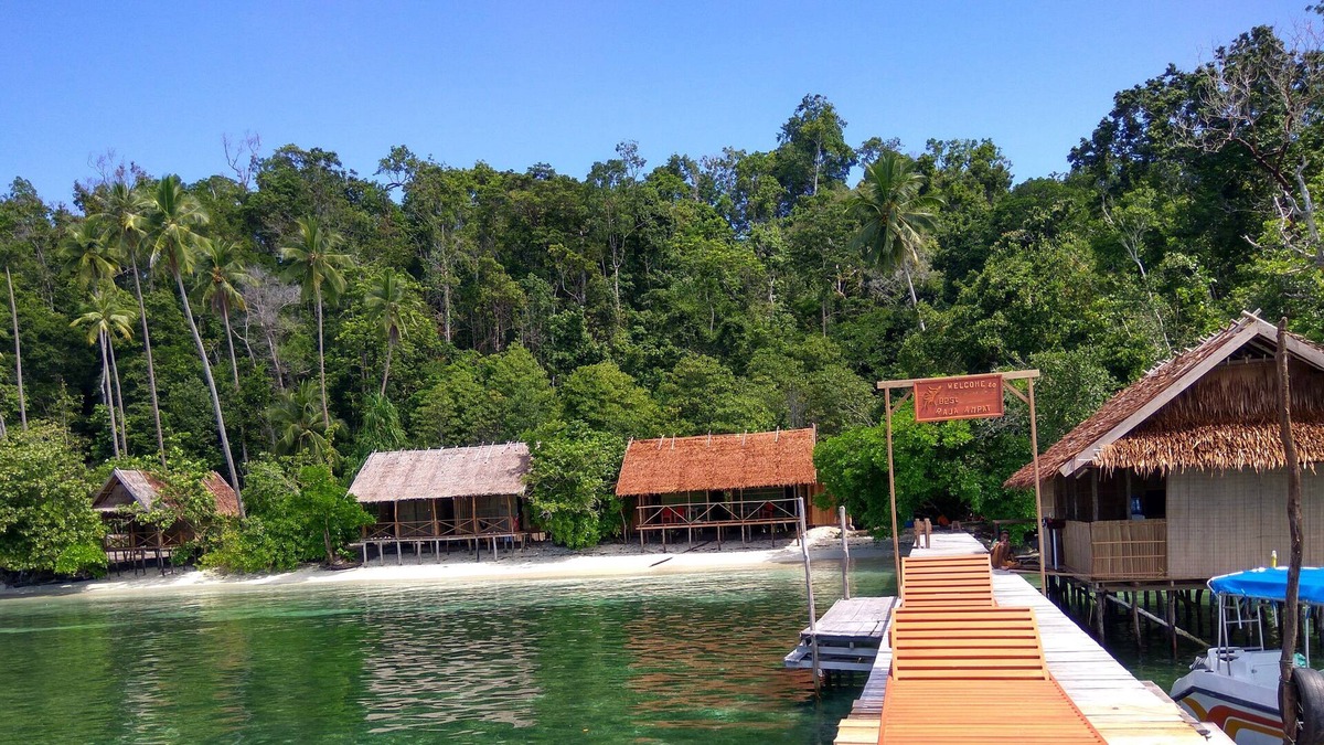 Raja Ampat House | Best rajaampat homestay. the best spot for snorkling and diving mansuar island,,