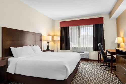 Savoy Hotel | Best Western Paradise Inn