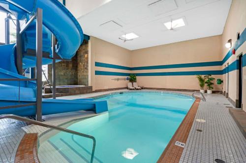 North Central Edmonton Hotel | Best Western PLUS City Centre Inn