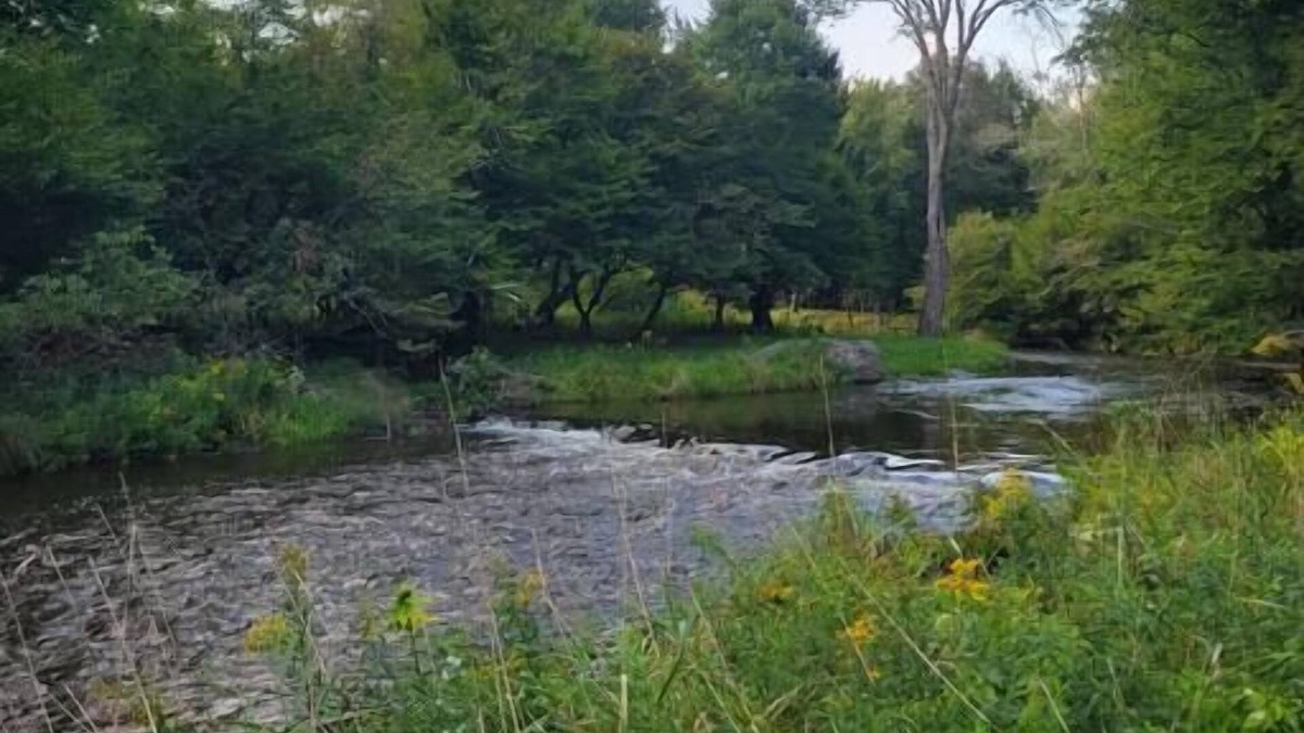 Mongaup Valley House | Bethel Woods Cabin with River
