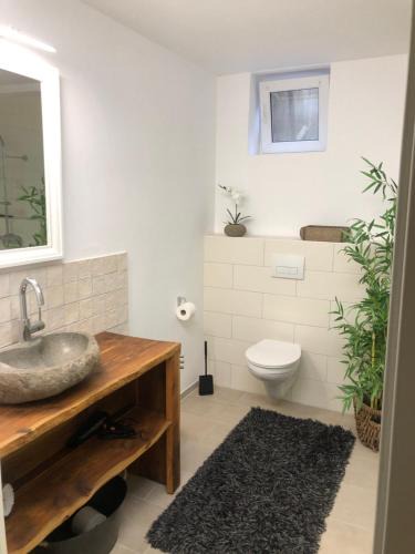 Kaiserslautern Apartment | Betzebud