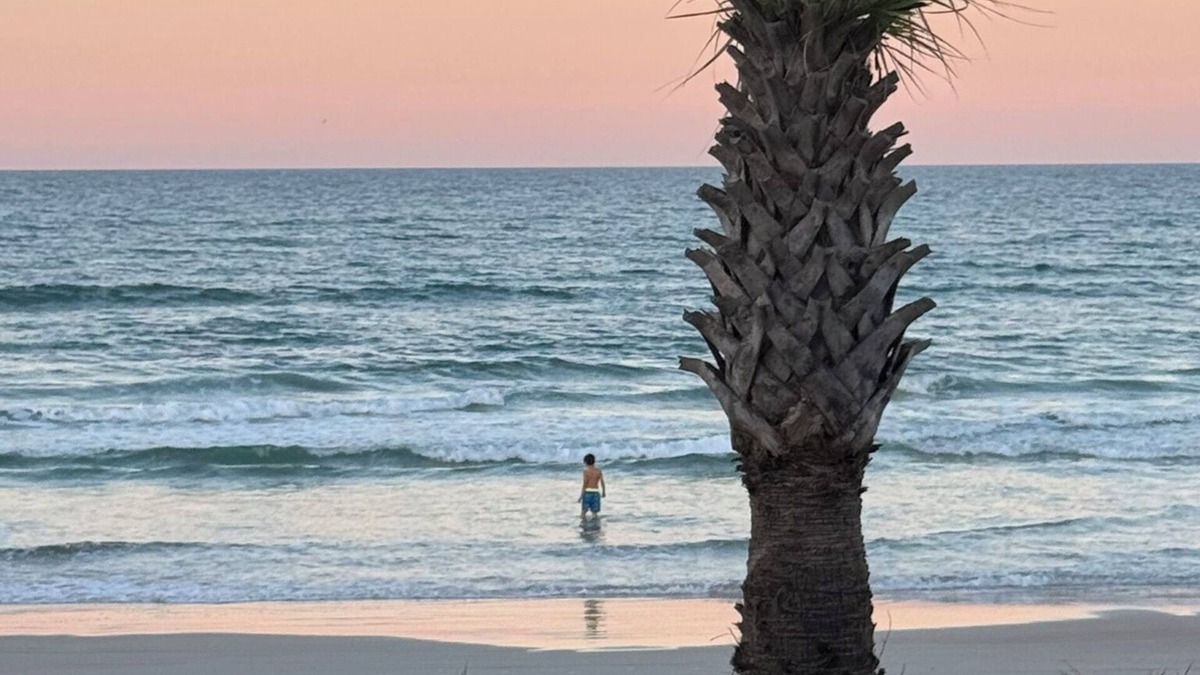 Wilbur-By-The-Sea Apartment | "Beverly's Place" Beachfront Apt Daytona Beach - just steps away from the ocean!