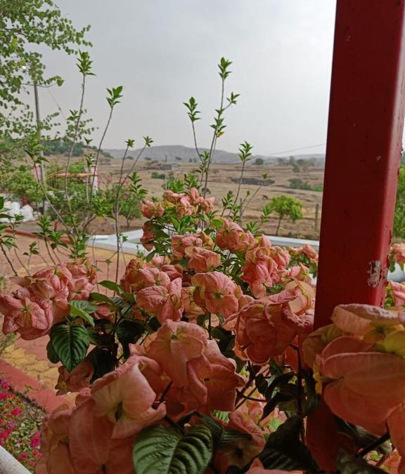 Akola Villa | Bhau Mukadam Villa Gondoshi