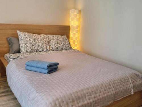 Srodmiescie Apartment | Biała Kamienica 54- Piotrkowska, Manufaktura, ZOO, prywatny parking