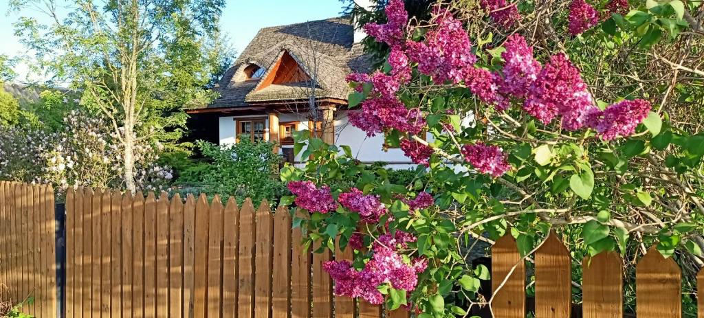 Bialowieza House | Białowieski Dworek do 10 Gości