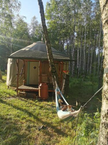 Dubicze Cerkiewne House | Biały Las Jurta