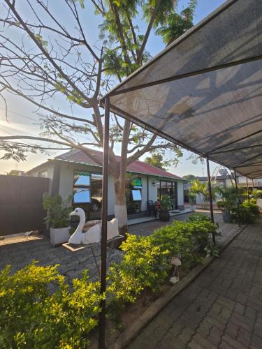 Matola House | Bianca's
