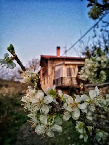 Cigoitia House | BIDEARTEAN, Caserío vasco, Recién reformado