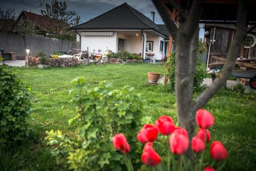 Velke Dvorniky House | Big Garden House
