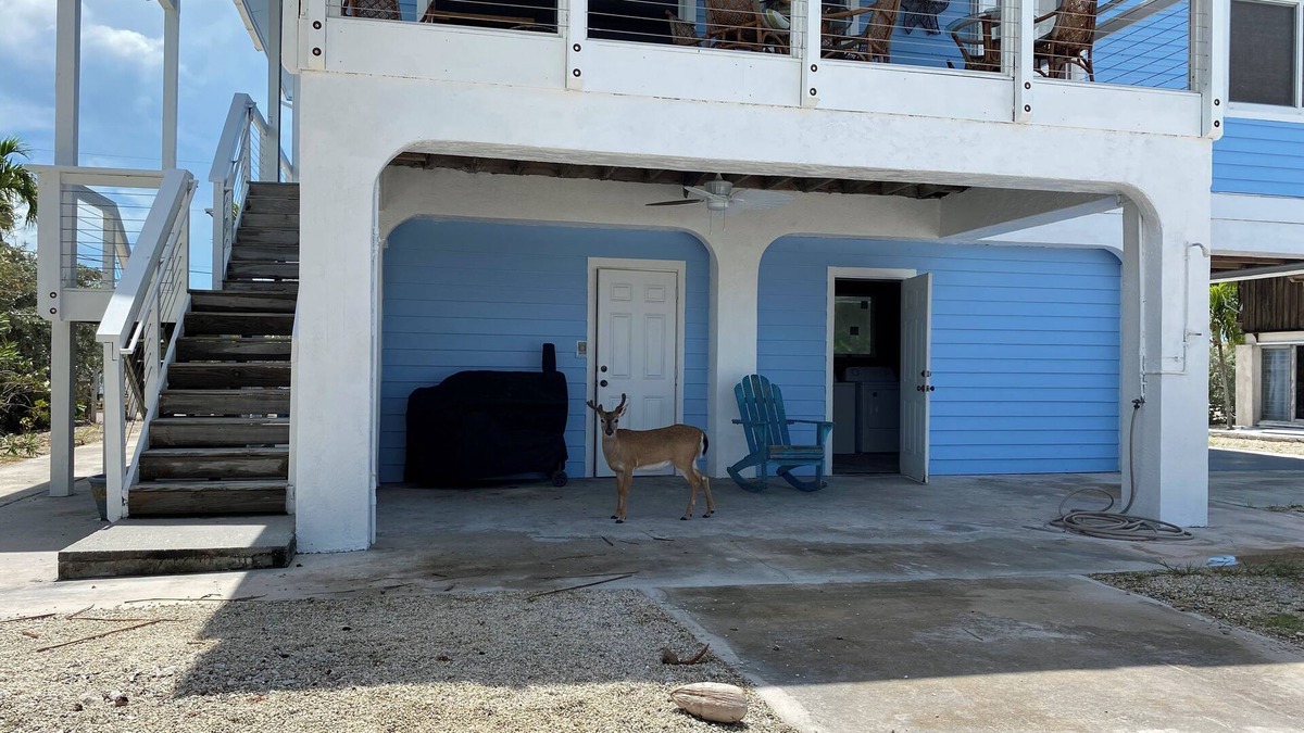 Big Pine Key House | Big Pine Key House 4/2 with 75’ dock and a stunning bay view.