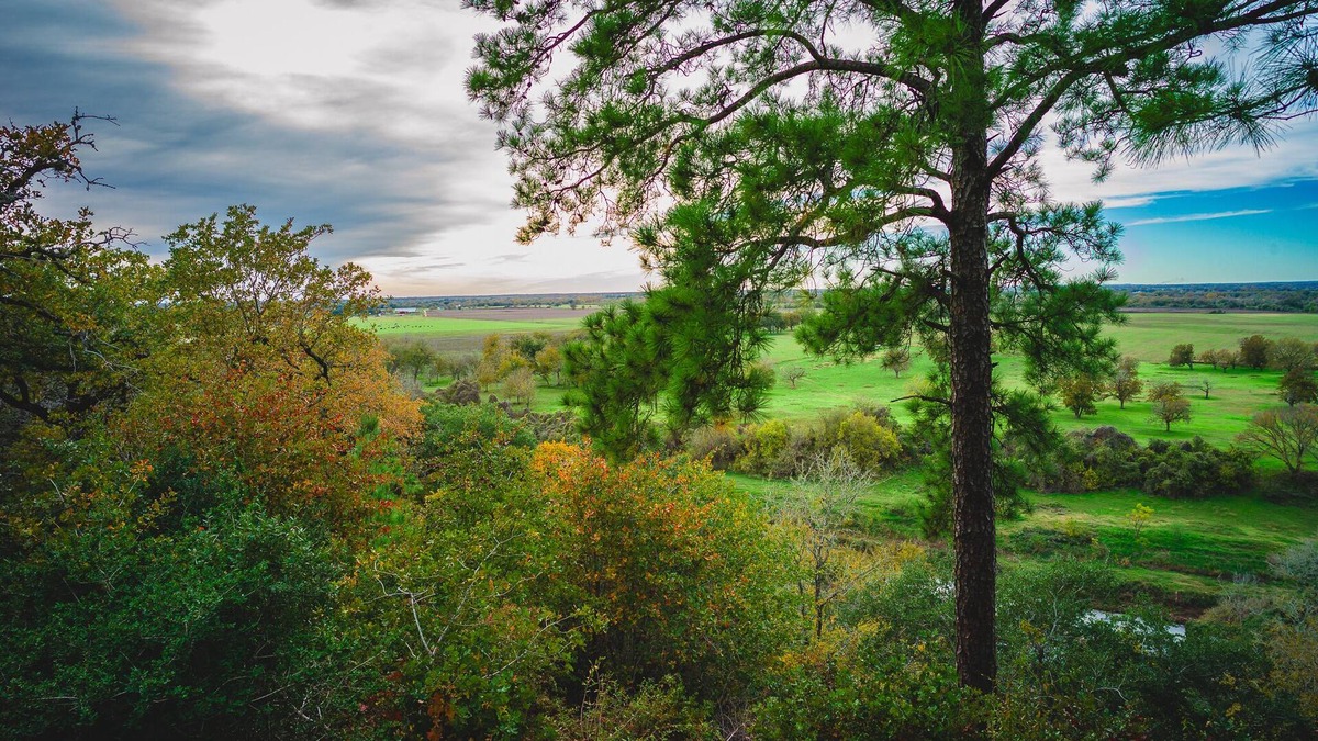 La Grange Cabin | Big View! Log cabin on the River