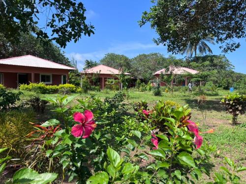 Bubaque Hotel | Bij Club