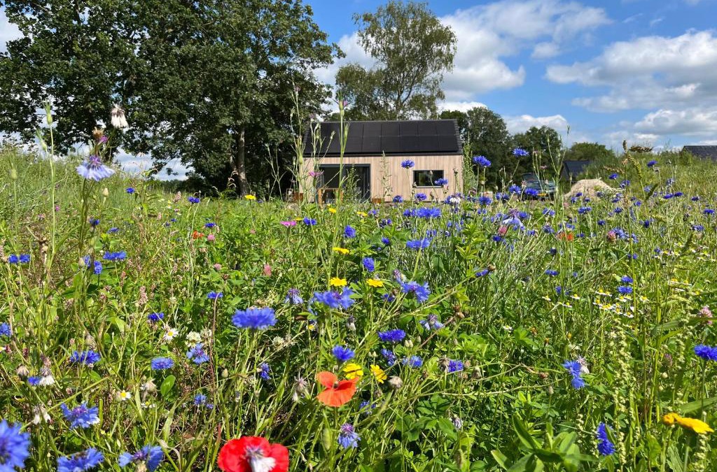 Appelscha House | Bij De Kei Appelscha