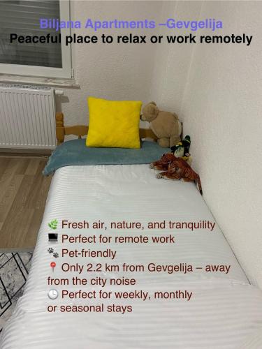 Mrzenci House | Biljana Apartments