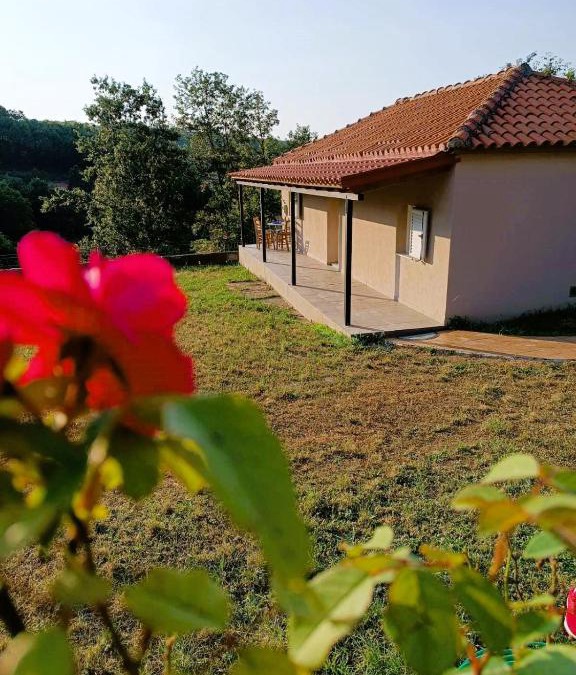 Vlachava House | Billy's house