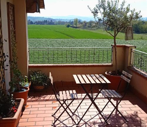 Settecani Apartment | Bilocale tra città e colline.