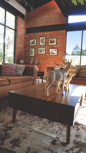 San Miguel Regla House | BIMBA en el corazón del bosque, Huasca