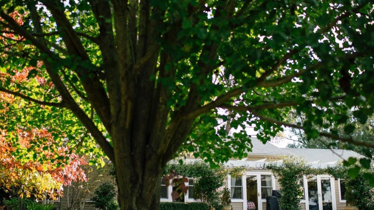Woodlands Cottage | Bimbadgen Cottage. 10 mins from town.