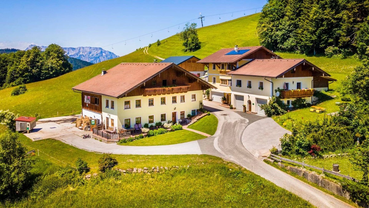 Krispl Apartment | Bio Bergbauernhof Reitlhof - Appartement Schmittenstein