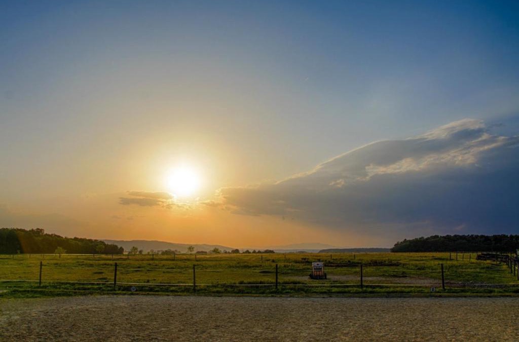 Guessing Bed & Breakfast | Bio-Pferdehof Fabian