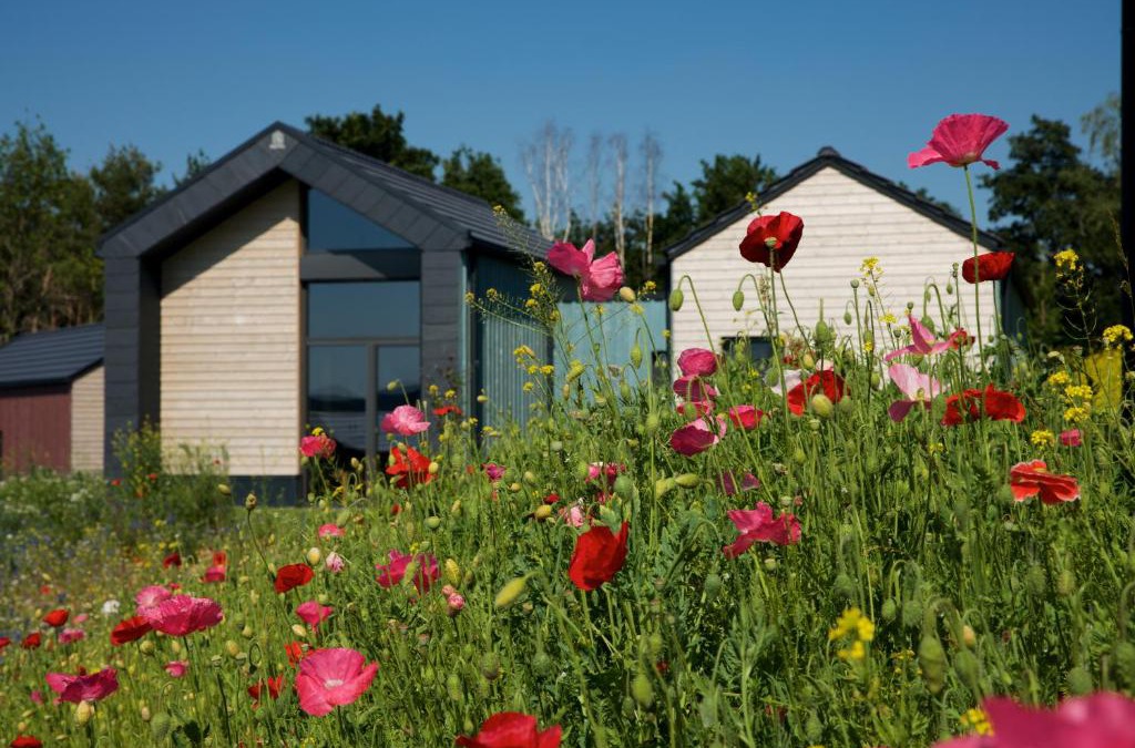 Zeulenroda-Triebes House | Bio-Seehotel Chalets