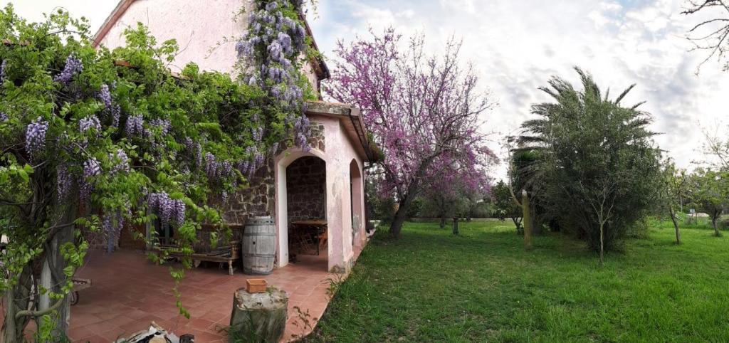 Santa Maria La Palma House | Bioagriturismo NURE
