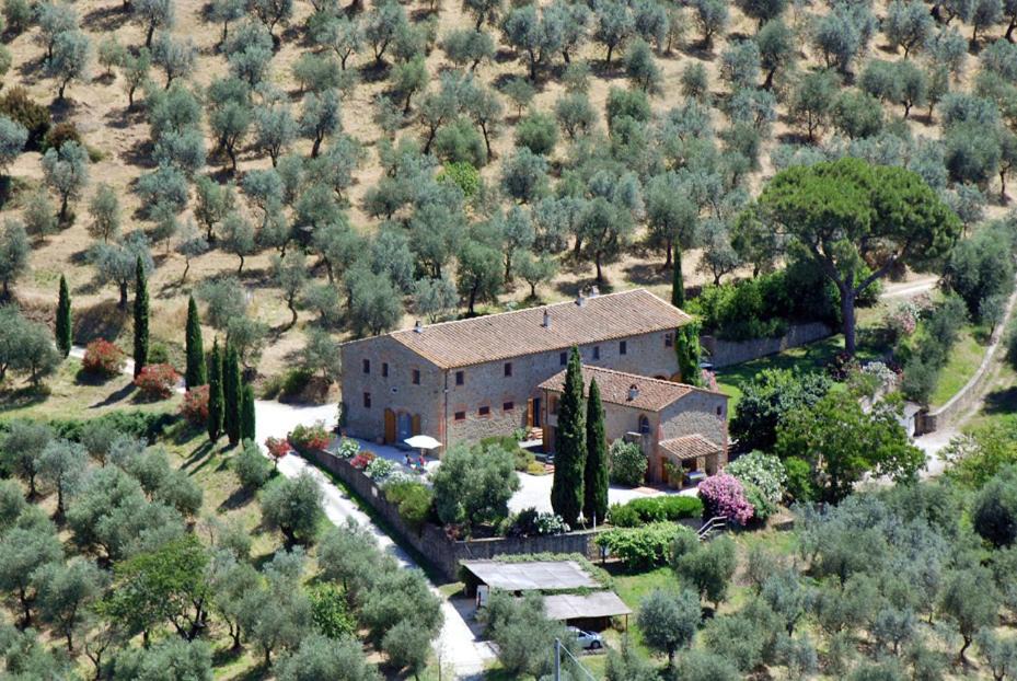 Larciano Villa | BIOAGRITURISMO la Collina Casa Romeo