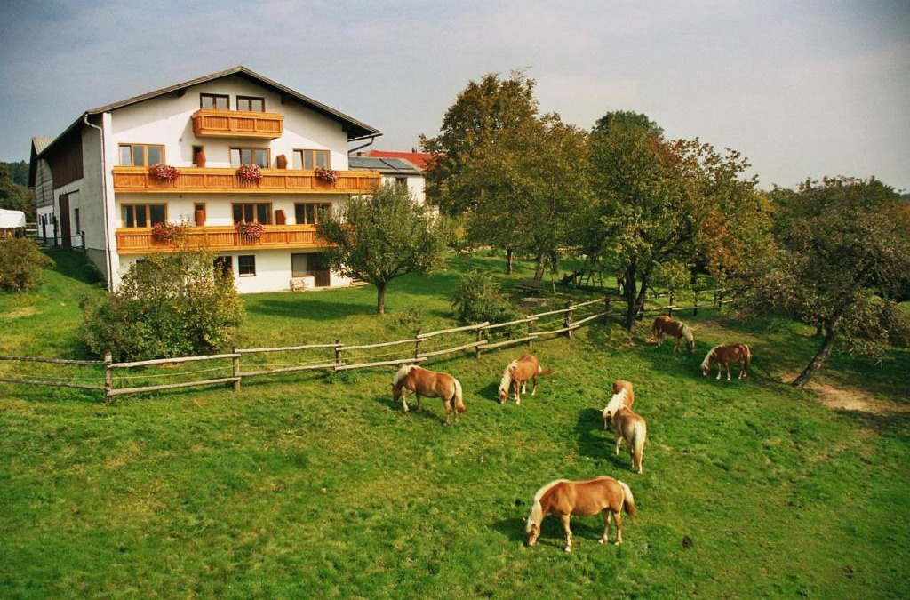 Pressbaum Apartment | Biobauernhof Wolf-Hof