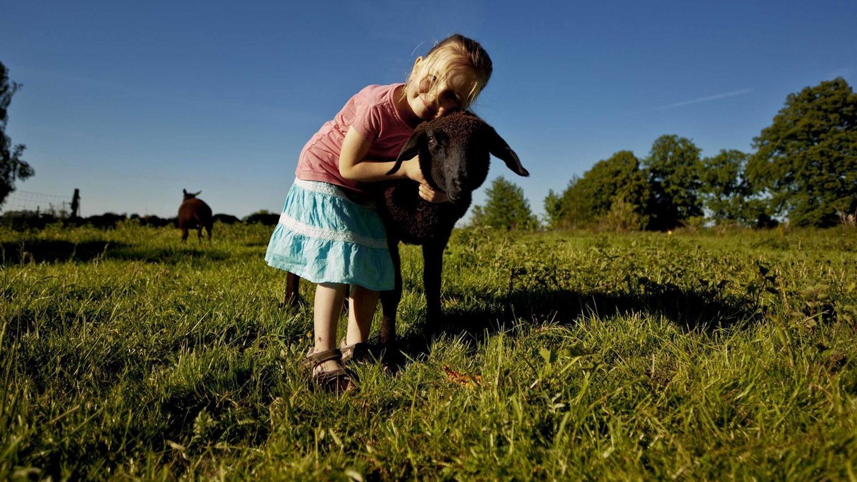 Swinemuende Apartment | Bioland dairy sheep sheep barn - Fewo sheep barn