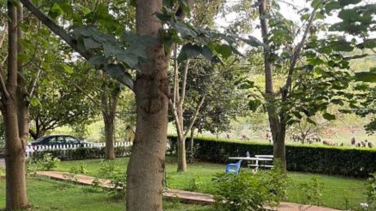 Librazhd Bed & Breakfast | Biona Farm : Basic Triple Roomn