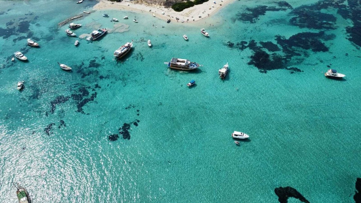 Dikili House | Bir yanınız deniz Diğer yanınız doğa İçerisinde ☺️