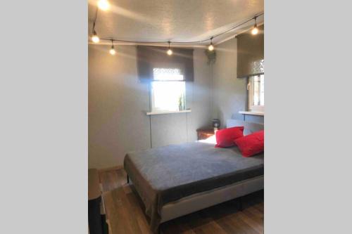 Birzgale House | Birch house