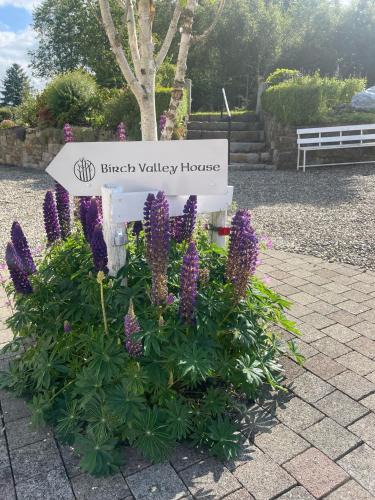 Tinahely Apartment | Birch Valley Accommodation Tinahely Wicklow Ireland